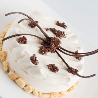 Polvere aromatizzante al Mascarpone