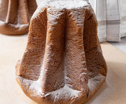 Mix Vegano in polvere per Panettoni e Pandori - Dolce Forno Maestro - immagine 6